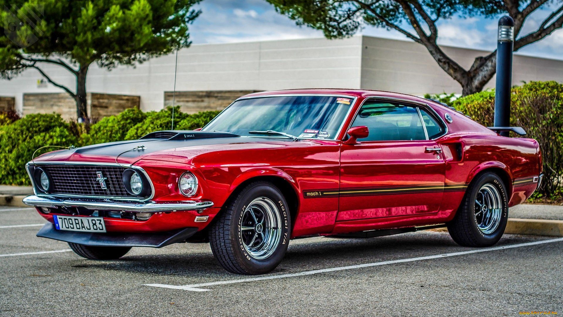 , mustang, 1969, ford